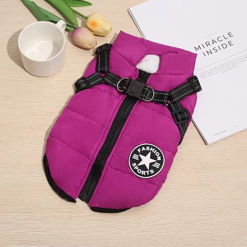 Ropa para mascotas_3841016