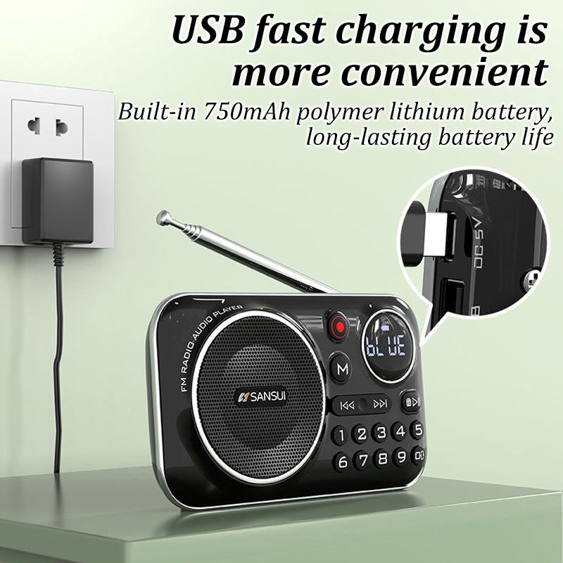 🎁【Oferta por tiempo limitado】Reproductor de música con radio Bluetooth portátil, puede insertar tarjetas y unidades flash USB_3868036