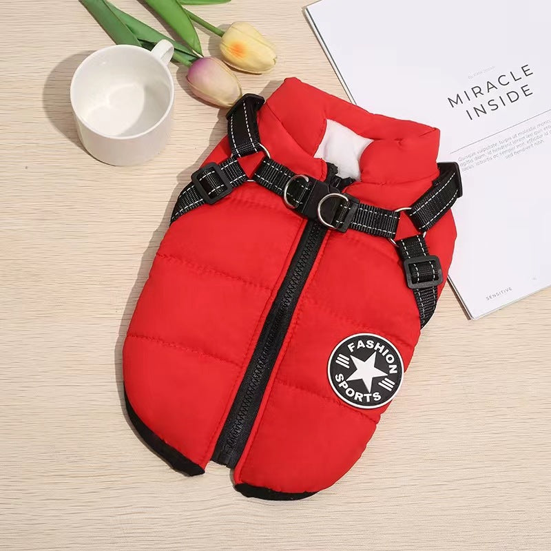 Ropa para mascotas_3841016