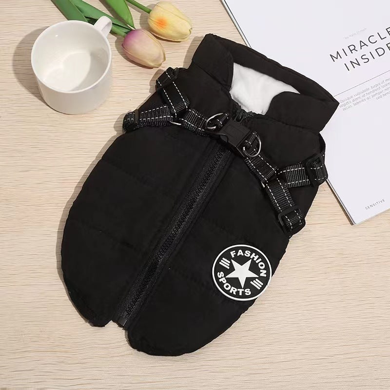 Ropa para mascotas_3841016