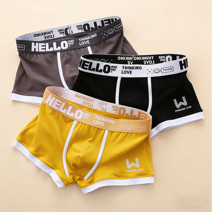 Calzoncillos bóxer de algodón para hombre nuevos