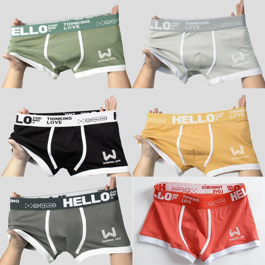 Calzoncillos bóxer de algodón para hombre nuevos