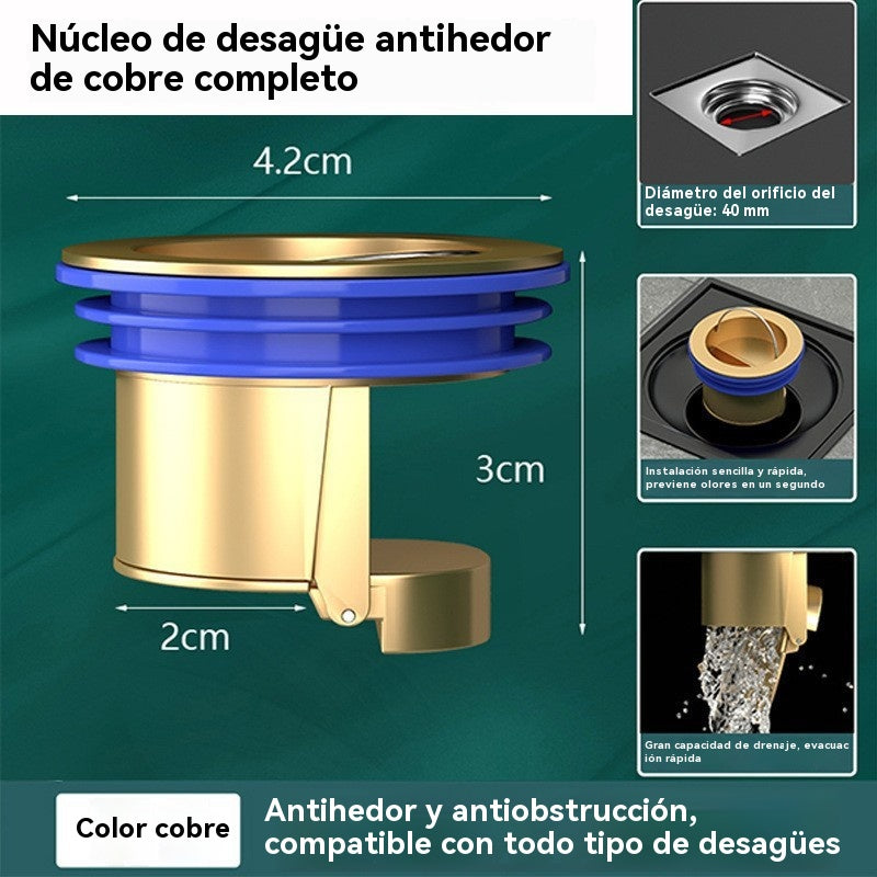 50% de descuento Desagüe de piso universal de latón, drenaje rápido, con núcleo a prueba de olores y desodorizante A prueba de insectos y obstrucciones