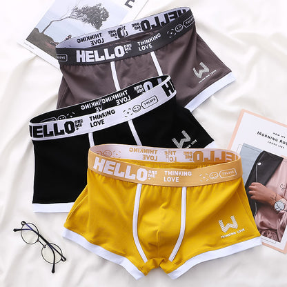 [Conjunto de 6 piezas] Calzoncillos bóxer de algodón puro para hombre